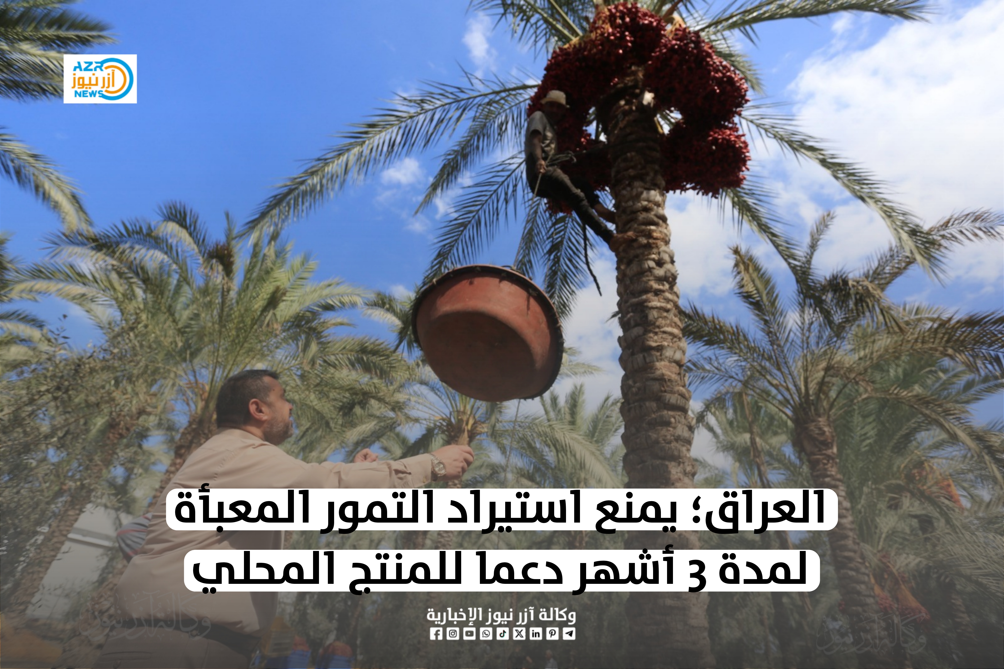 العراق يمنع استيراد التمور المعبأة لمدة 3 أشهر دعما للمنتج المحلي