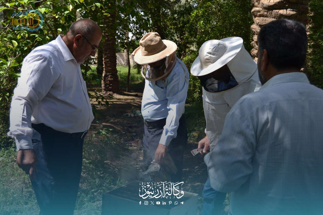 جمعية نحالي كربلاء التخصصية تدعو أصحاب المناحل إلى تسجيل مواقعهم لاستلام علاج مرض " النوزيما سيرانا "